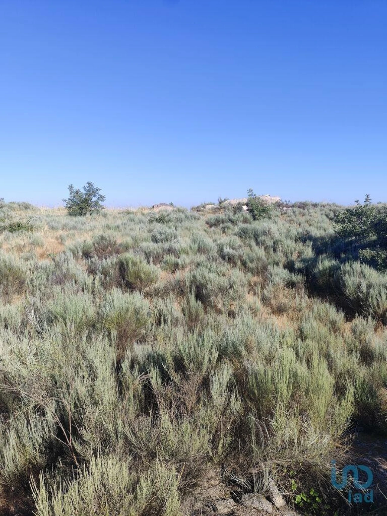 Terreno para Venda em Sernancelhe e Sarzeda Foto 9