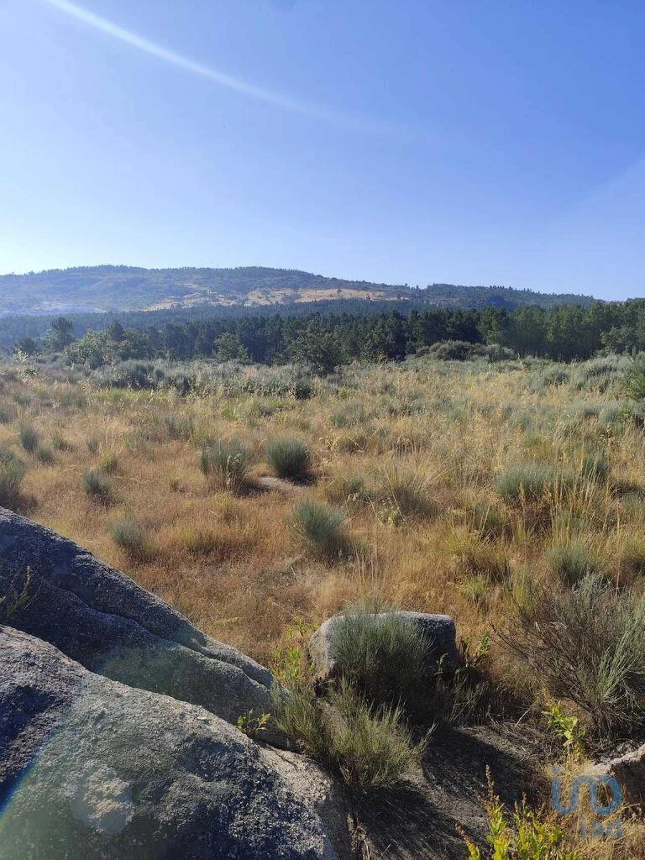 Terreno para Venda em Sernancelhe e Sarzeda Foto 11