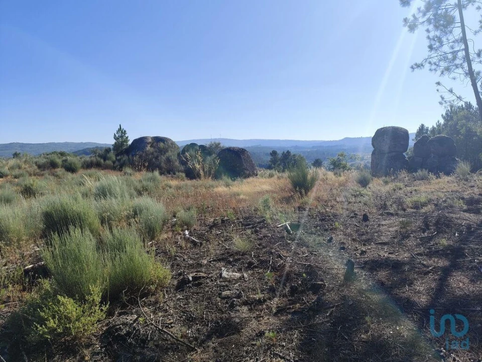 Terreno para Venda em Sernancelhe e Sarzeda Foto 3