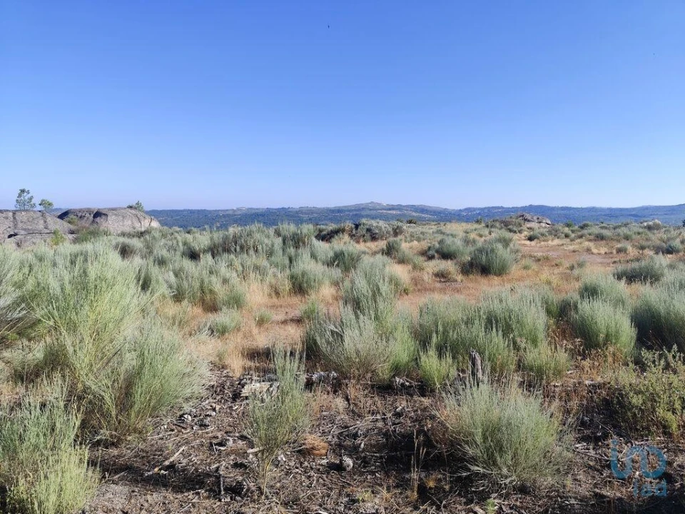 Terreno para Venda em Sernancelhe e Sarzeda Foto 1