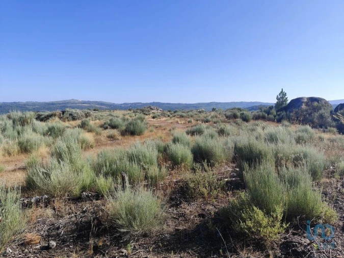Terreno para Venda em Sernancelhe e Sarzeda Foto 2