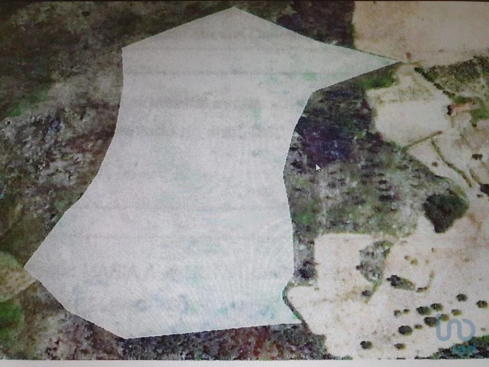 Terreno para Venda em Sernancelhe e Sarzeda Foto 12