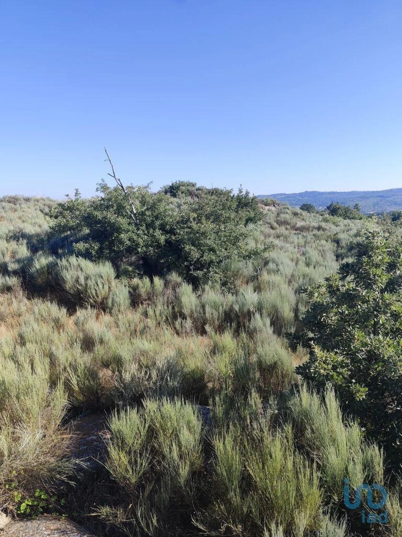 Terreno para Venda em Sernancelhe e Sarzeda Foto 8