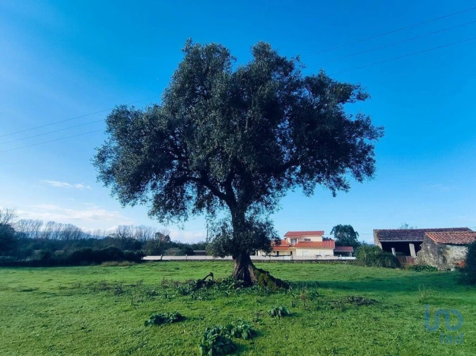 Moradia T2 para Venda em Valença, Cristelo Covo e Arão Foto 7