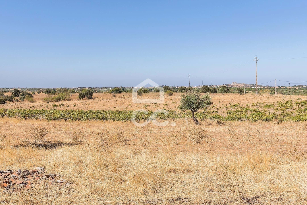 Terreno para Venda em Mourão Foto 18