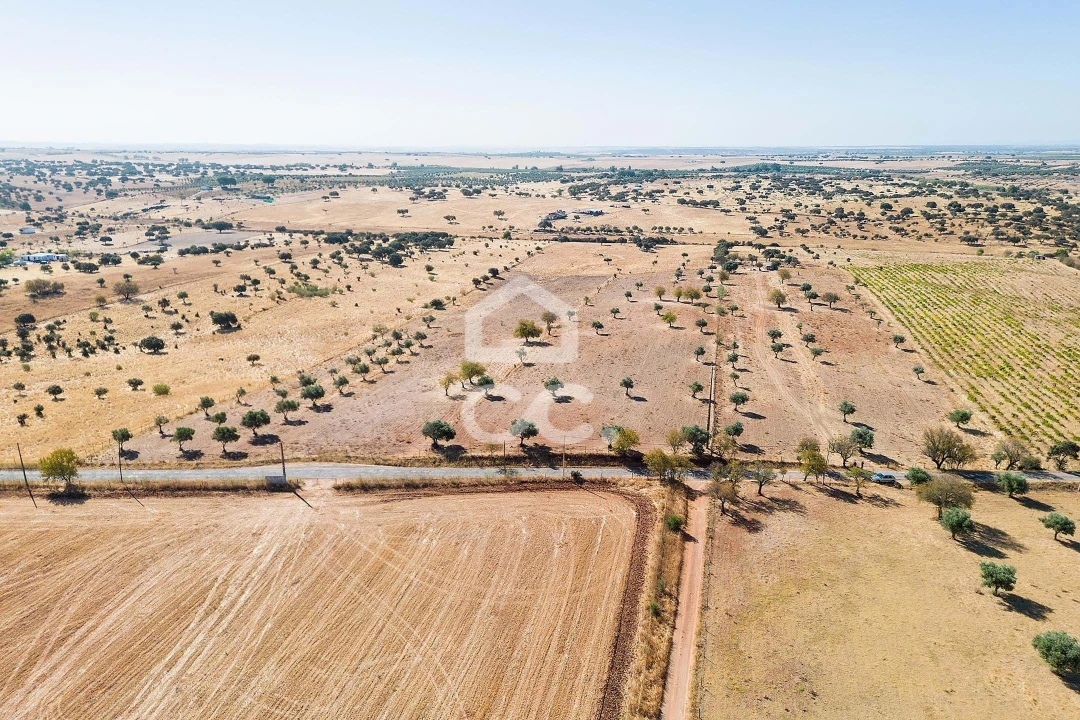 Terreno para Venda em Mourão Foto 42