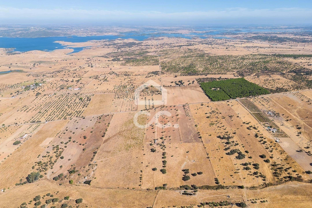Terreno para Venda em Mourão Foto 36