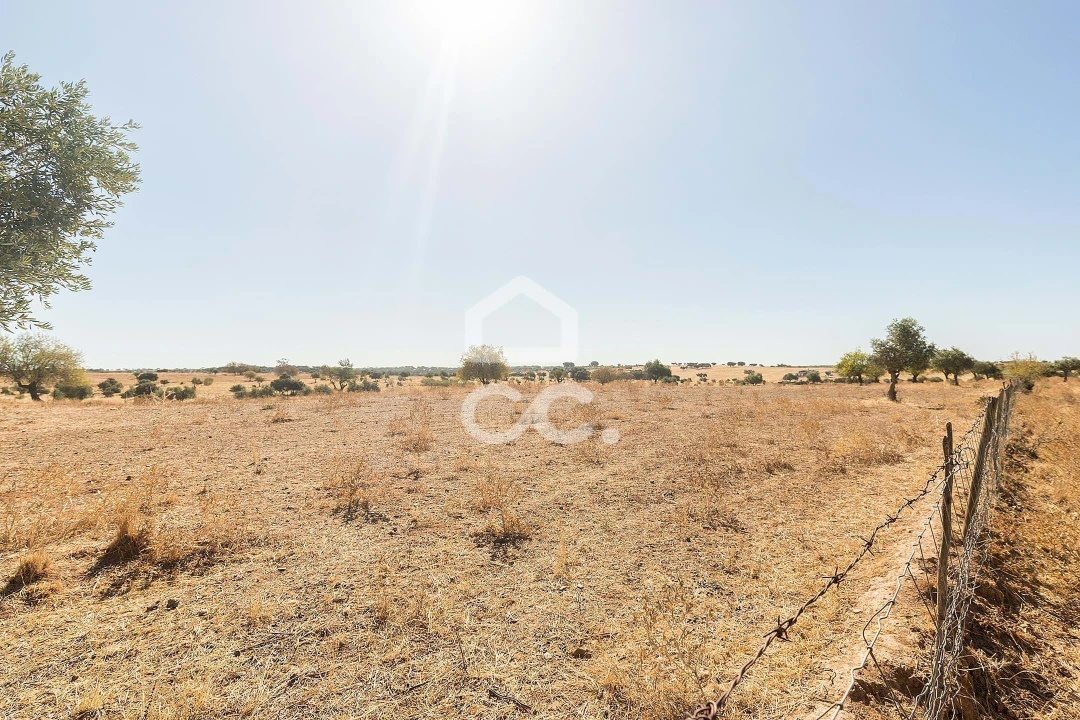 Terreno para Venda em Mourão Foto 19
