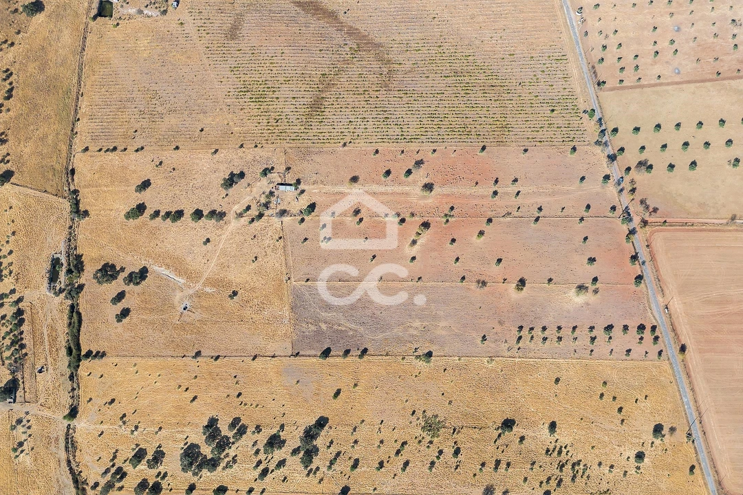 Terreno para Venda em Mourão Foto 24