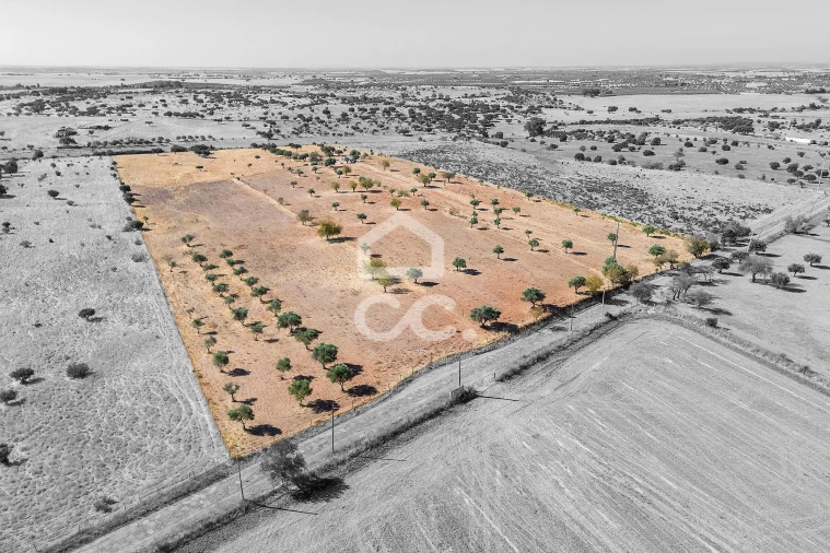 Terreno para Venda em Mourão