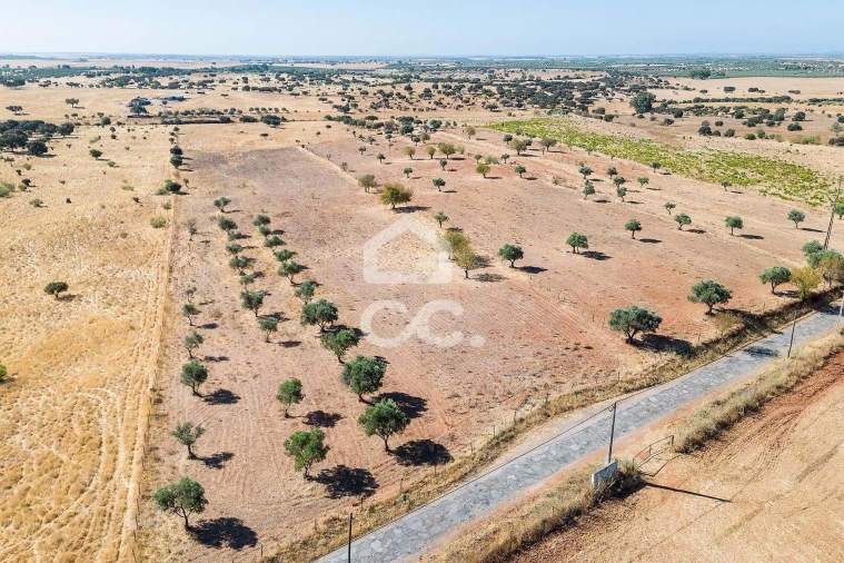 Terreno para Venda em Mourão Foto 23