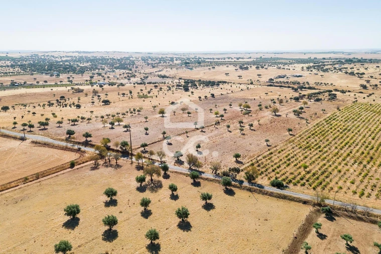 Terreno para Venda em Mourão Foto 26