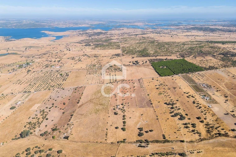 Terreno para Venda em Mourão Foto 36