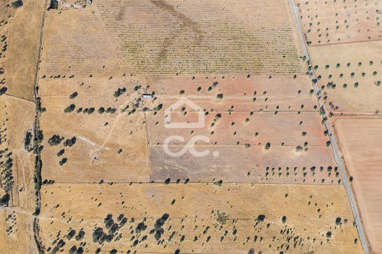 Terreno para Venda em Mourão Foto 24