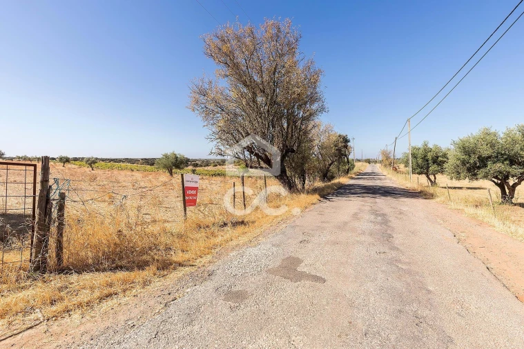 Terreno para Venda em Mourão Foto 2