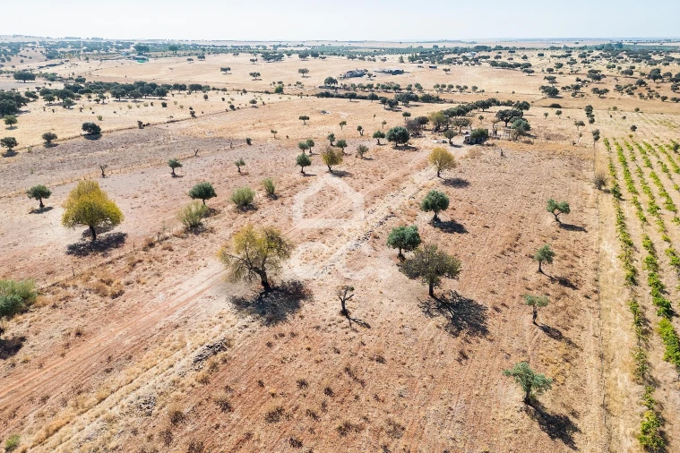 Terreno para Venda em Mourão Foto 44
