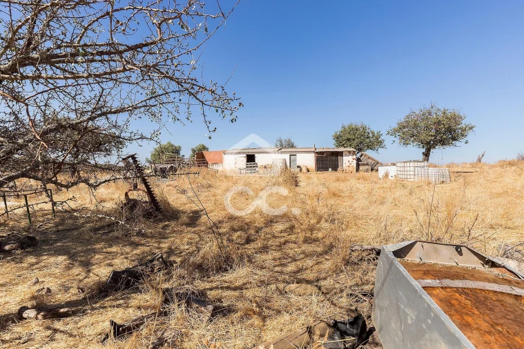 Terreno para Venda em Mourão Foto 17
