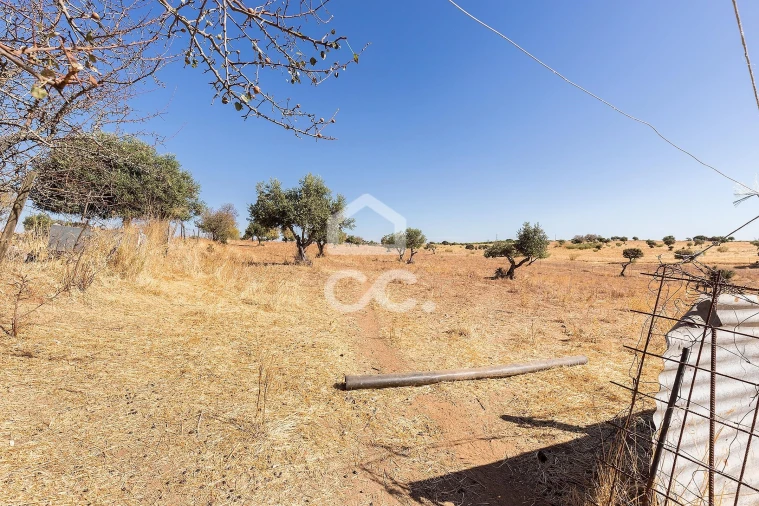 Terreno para Venda em Mourão Foto 3