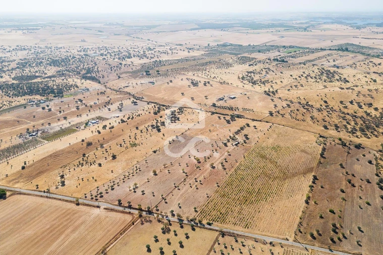 Terreno para Venda em Mourão Foto 33