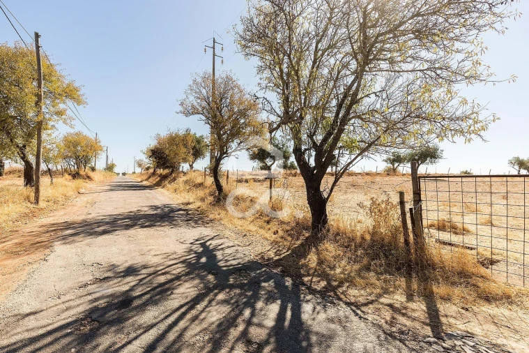 Terreno para Venda em Mourão Foto 7