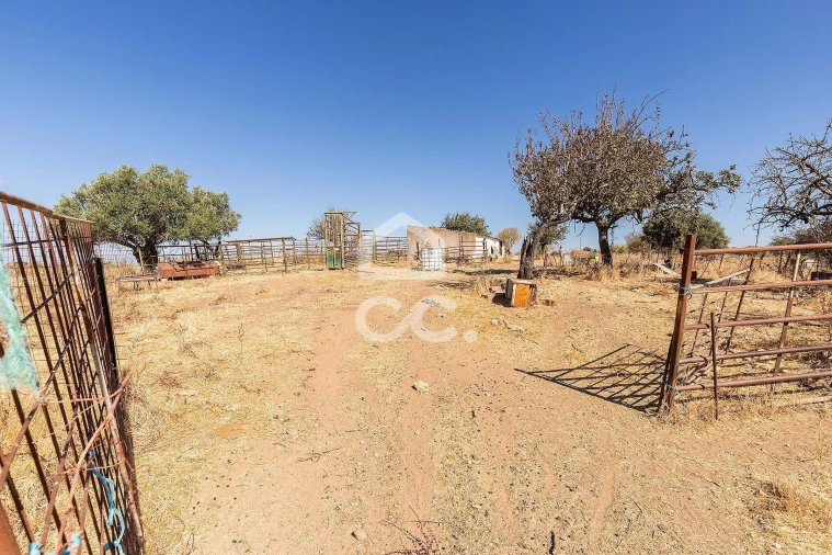 Terreno para Venda em Mourão Foto 16