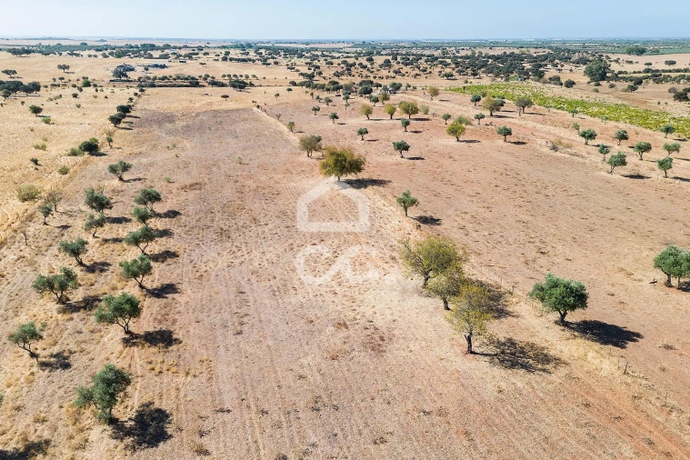 Terreno para Venda em Mourão Foto 43