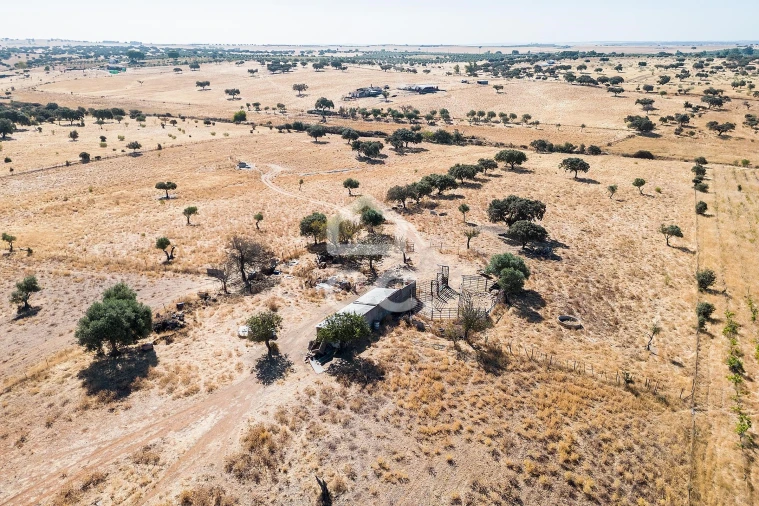 Terreno para Venda em Mourão Foto 45