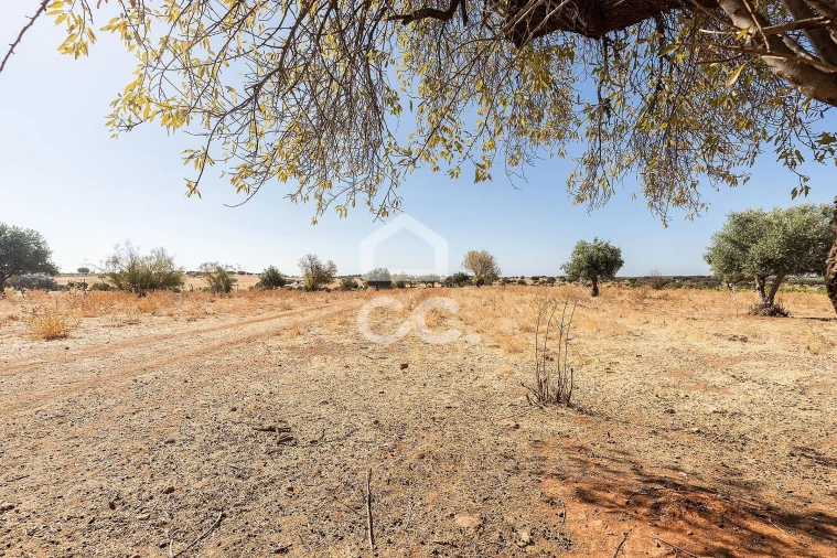 Terreno para Venda em Mourão Foto 12