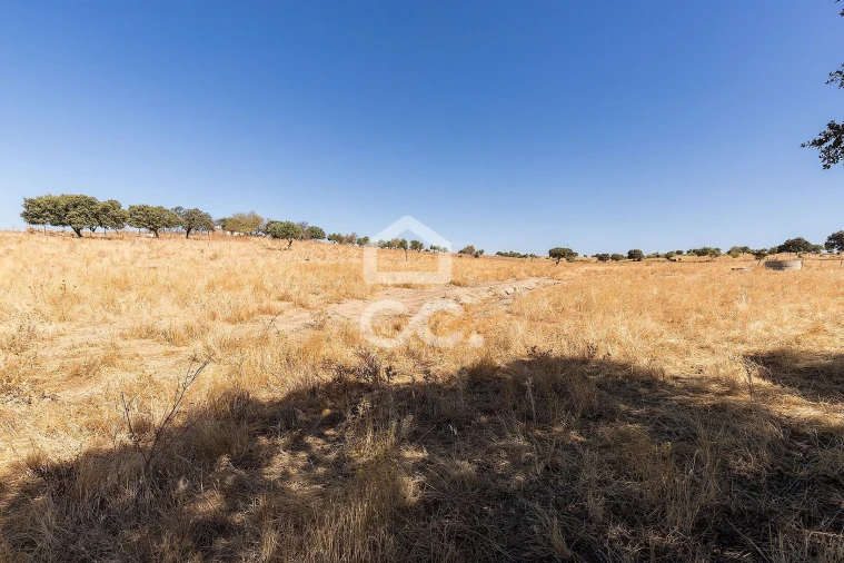 Terreno para Venda em Mourão Foto 20