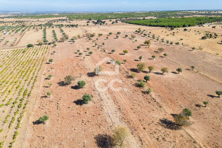 Terreno para Venda em Mourão Foto 41