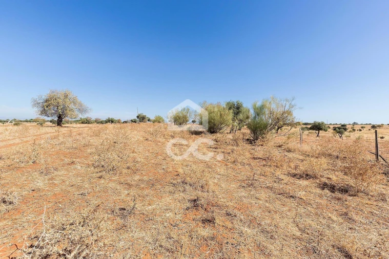 Terreno para Venda em Mourão Foto 6