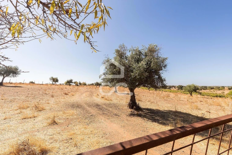 Terreno para Venda em Mourão Foto 8
