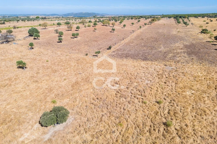 Terreno para Venda em Mourão Foto 40