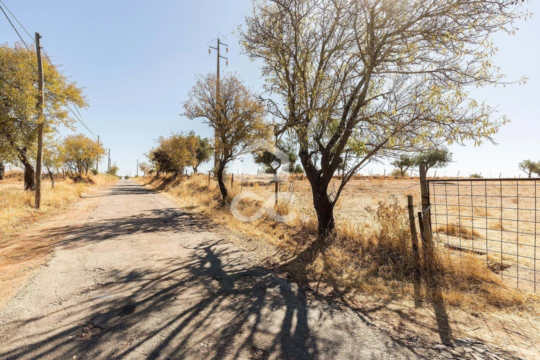 Terreno para Venda em Mourão Foto 7