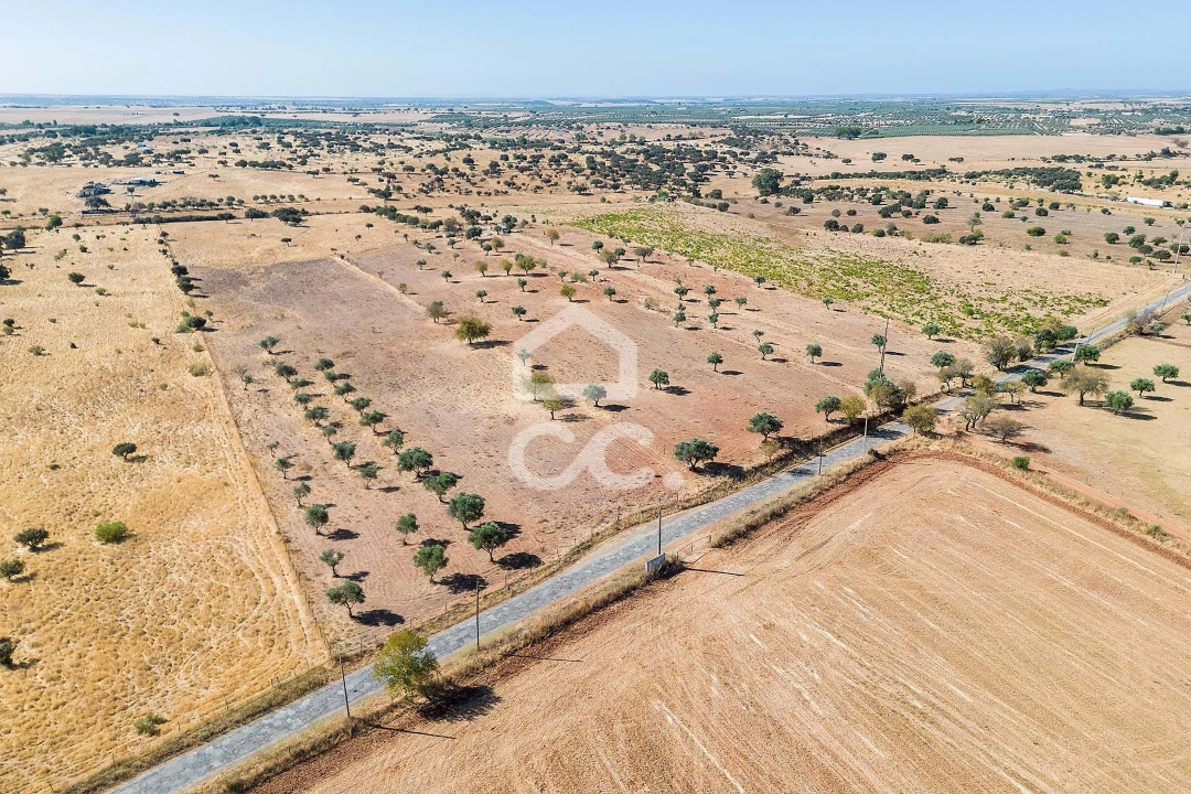 Terreno para Venda em Mourão Foto 25