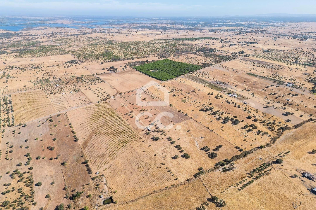 Terreno para Venda em Mourão Foto 37
