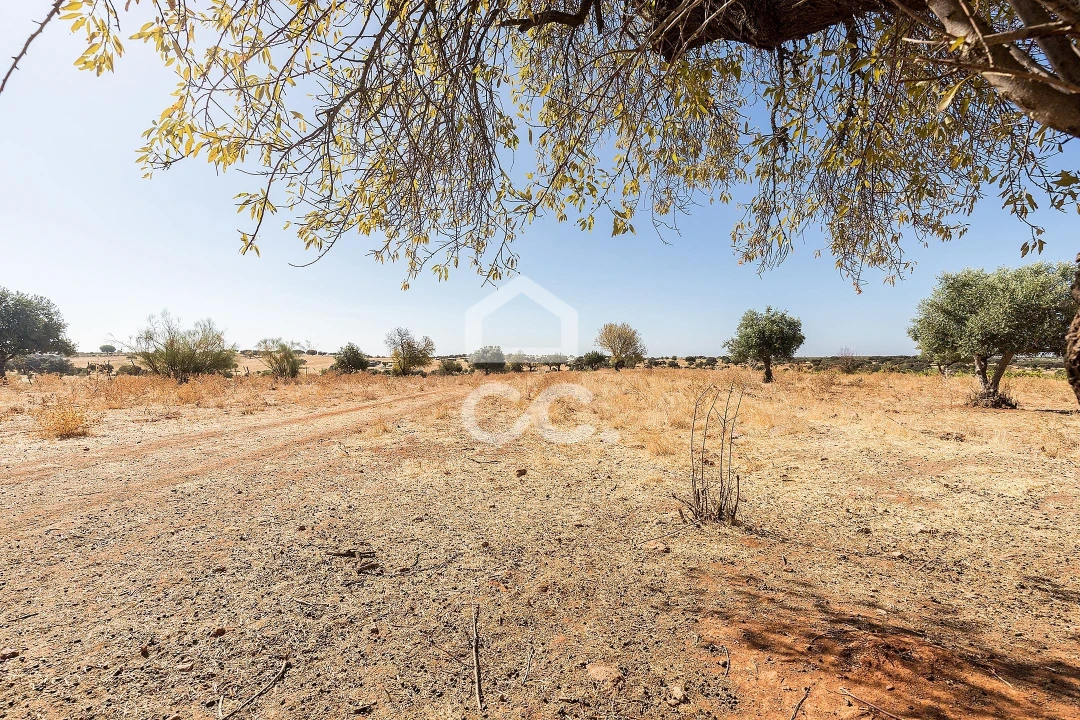 Terreno para Venda em Mourão Foto 12
