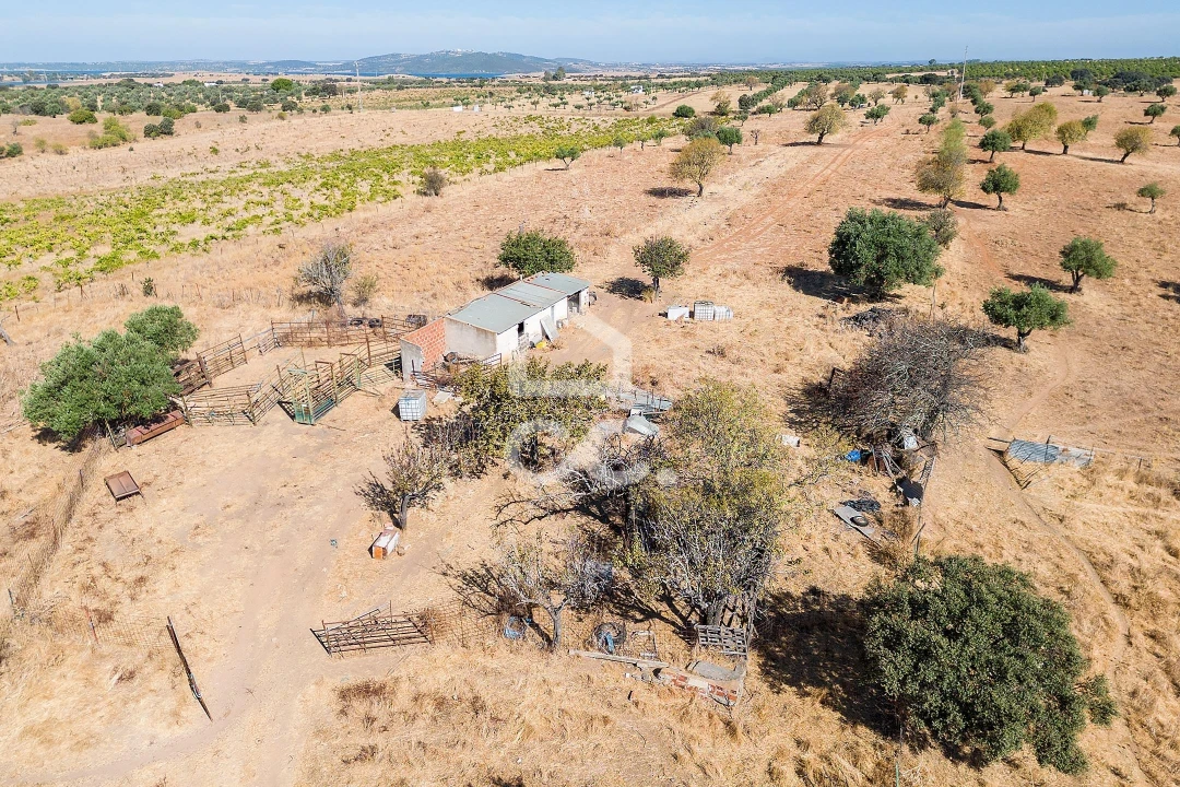 Terreno para Venda em Mourão Foto 27