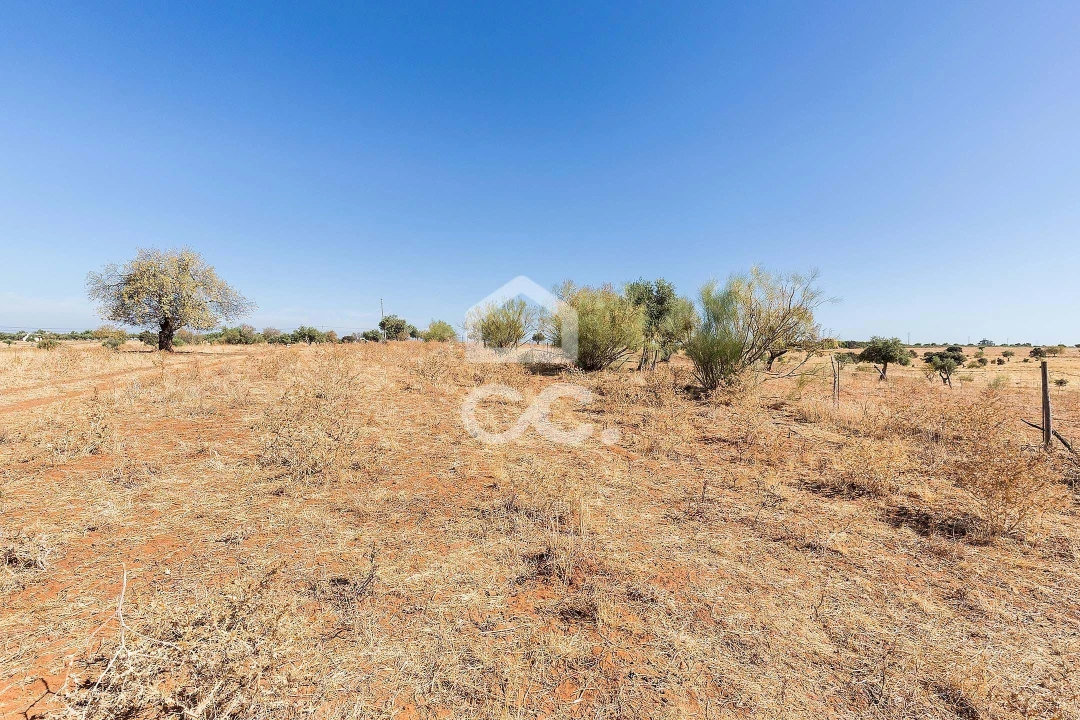 Terreno para Venda em Mourão Foto 6