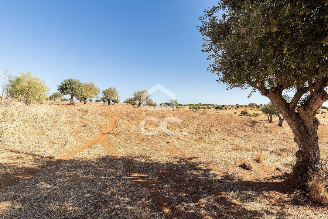 Terreno para Venda em Mourão Foto 10
