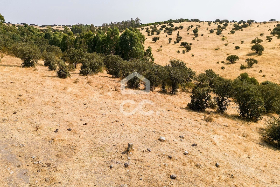 Terreno para Venda em Reguengos de Monsaraz Foto 3