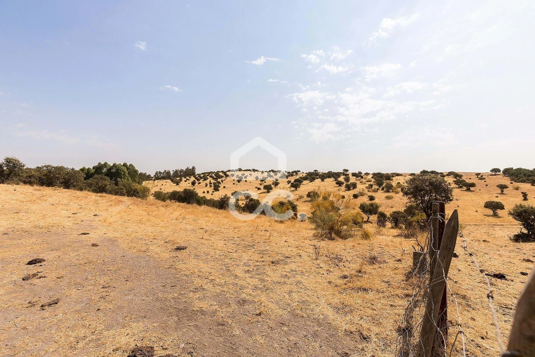 Terreno para Venda em Reguengos de Monsaraz Foto 5
