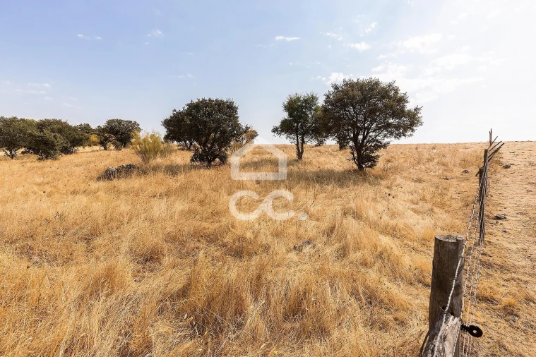 Terreno para Venda em Reguengos de Monsaraz Foto 4
