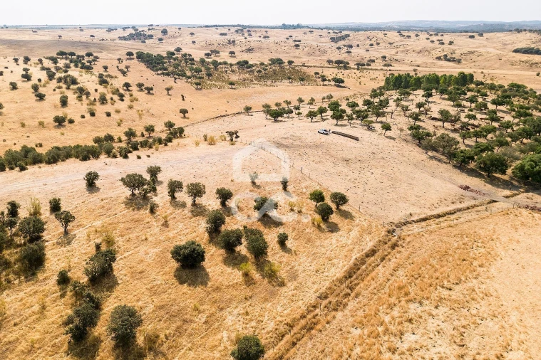 Terreno para Venda em Reguengos de Monsaraz Foto 8