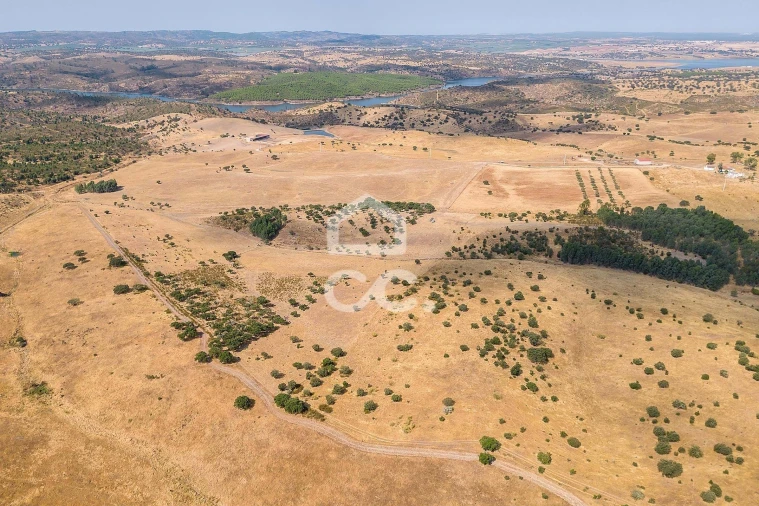 Terreno para Venda em Reguengos de Monsaraz Foto 12