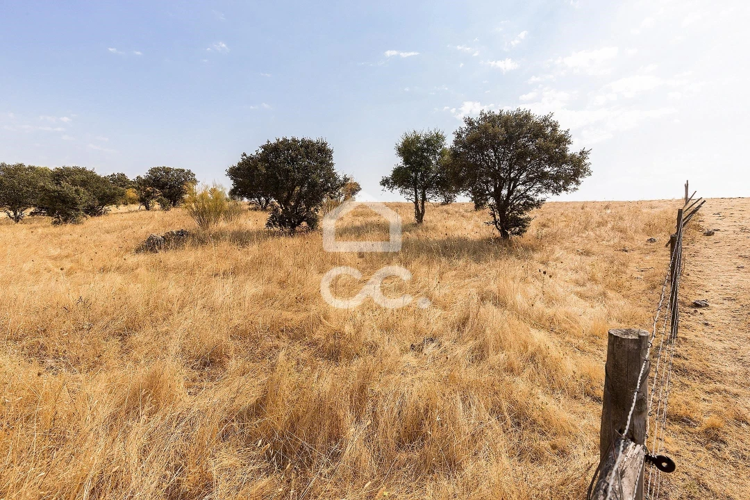 Terreno para Venda em Reguengos de Monsaraz Foto 4
