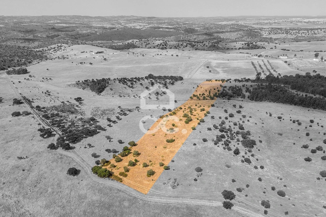 Terreno para Venda em Reguengos de Monsaraz Foto 9