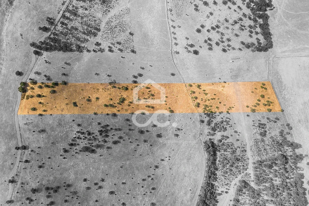 Terreno para Venda em Reguengos de Monsaraz Foto 2