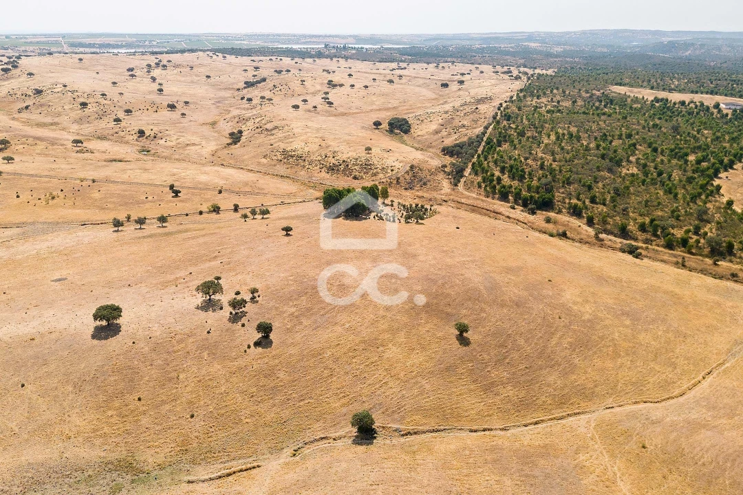 Terreno para Venda em Reguengos de Monsaraz Foto 9