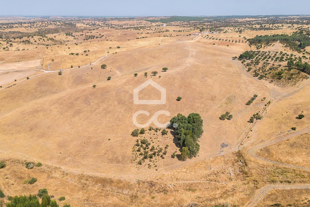 Terreno para Venda em Reguengos de Monsaraz Foto 15